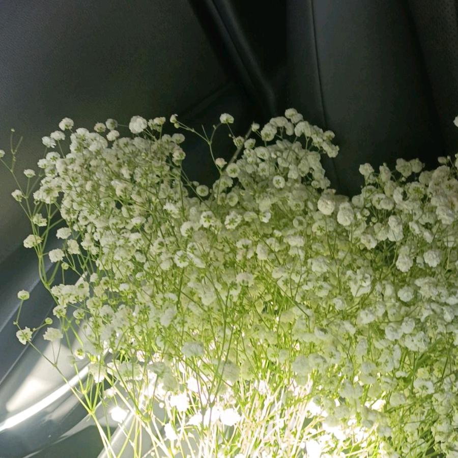 确认不了的眼神