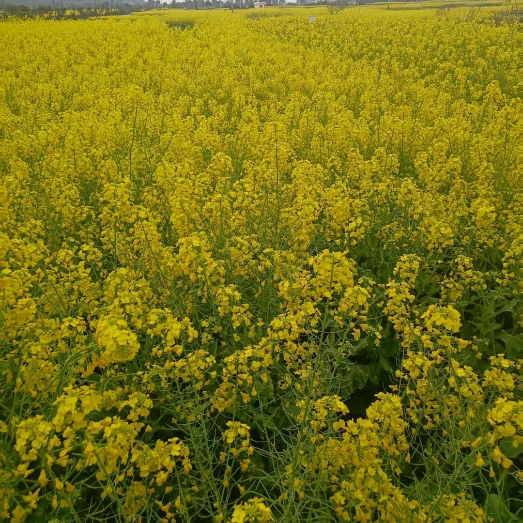 从头在来👿👿👿👿👿