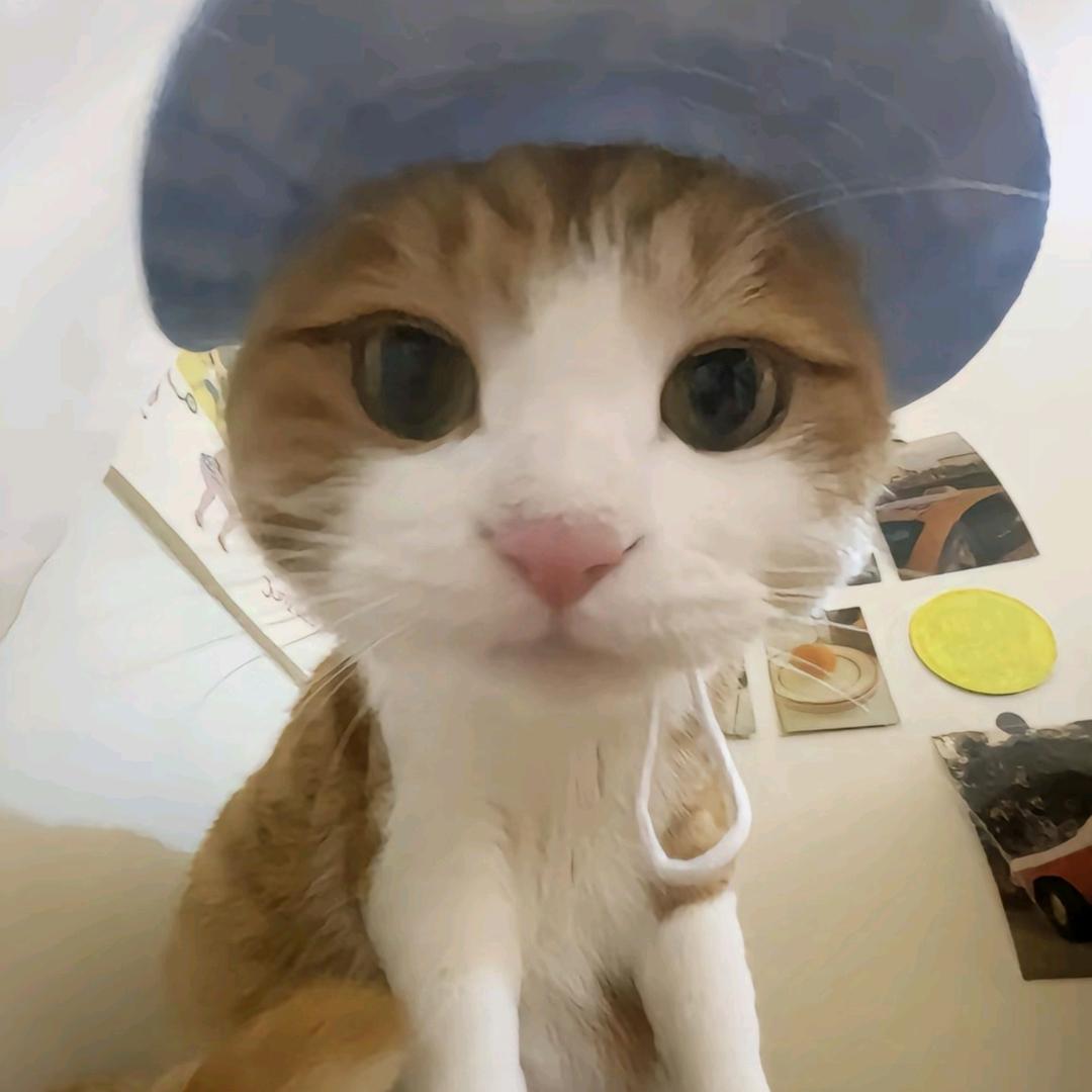 蔓枝