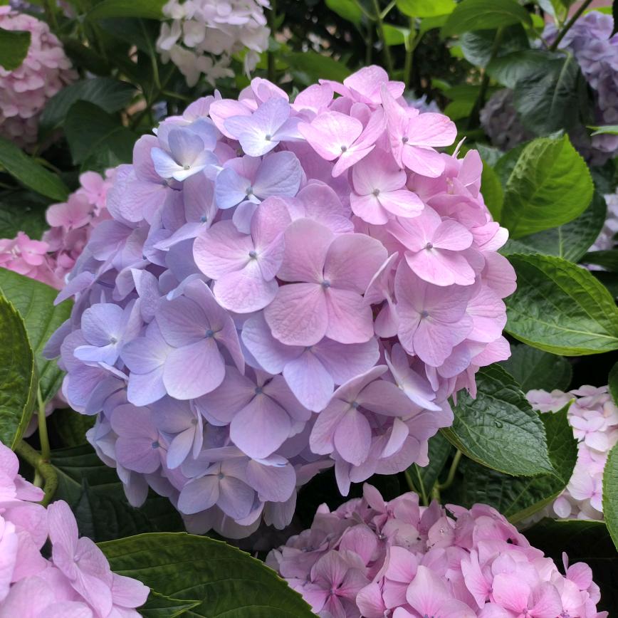 贵阳初高三冲刺复读学校老师