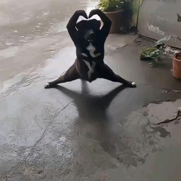 七分  冷漠