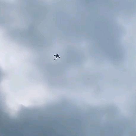 老王的生活我的梦