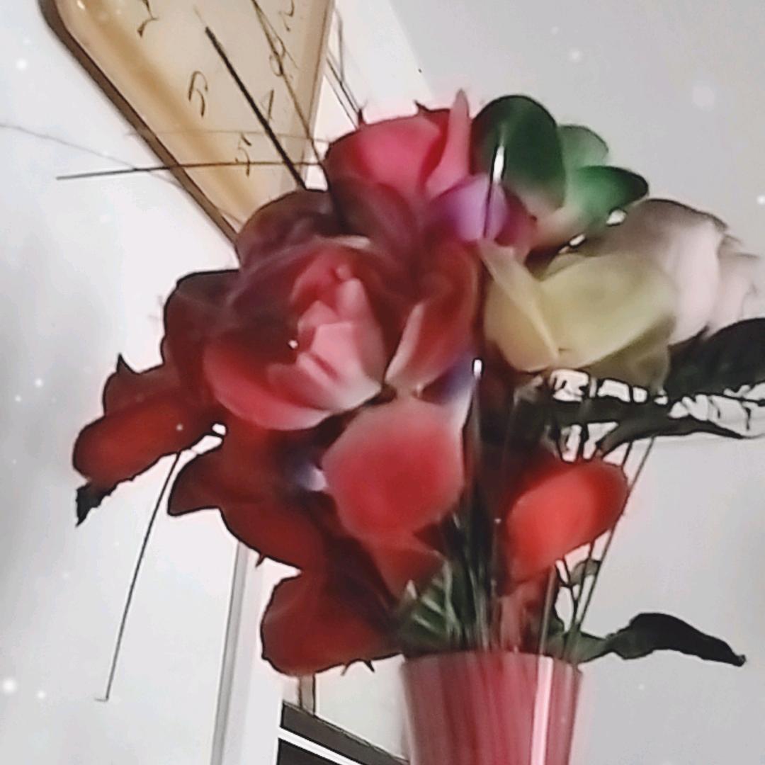 面条