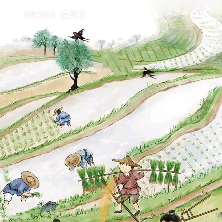 逆风飞翔