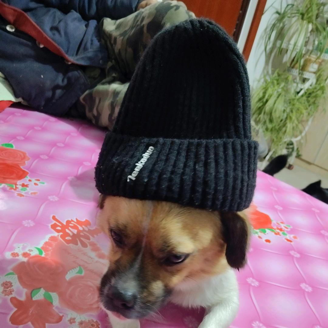 最美的时光😀😀😀