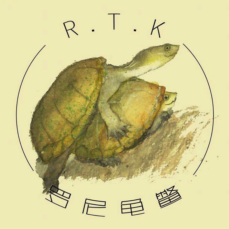 RonyTurtles罗尼