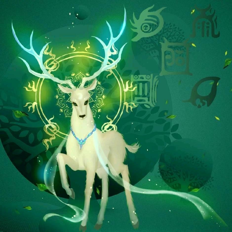 茂泽