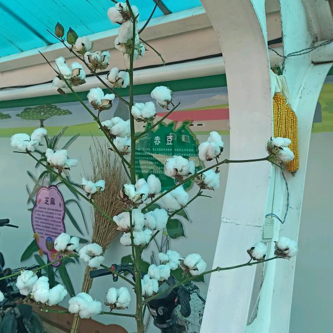 美好回忆