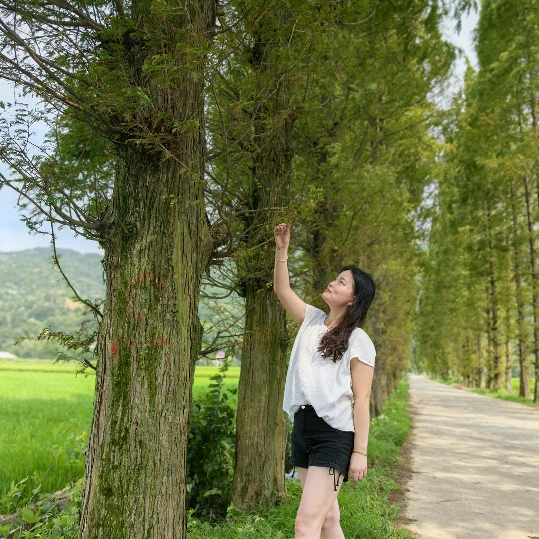 株潭途锦车检～李
