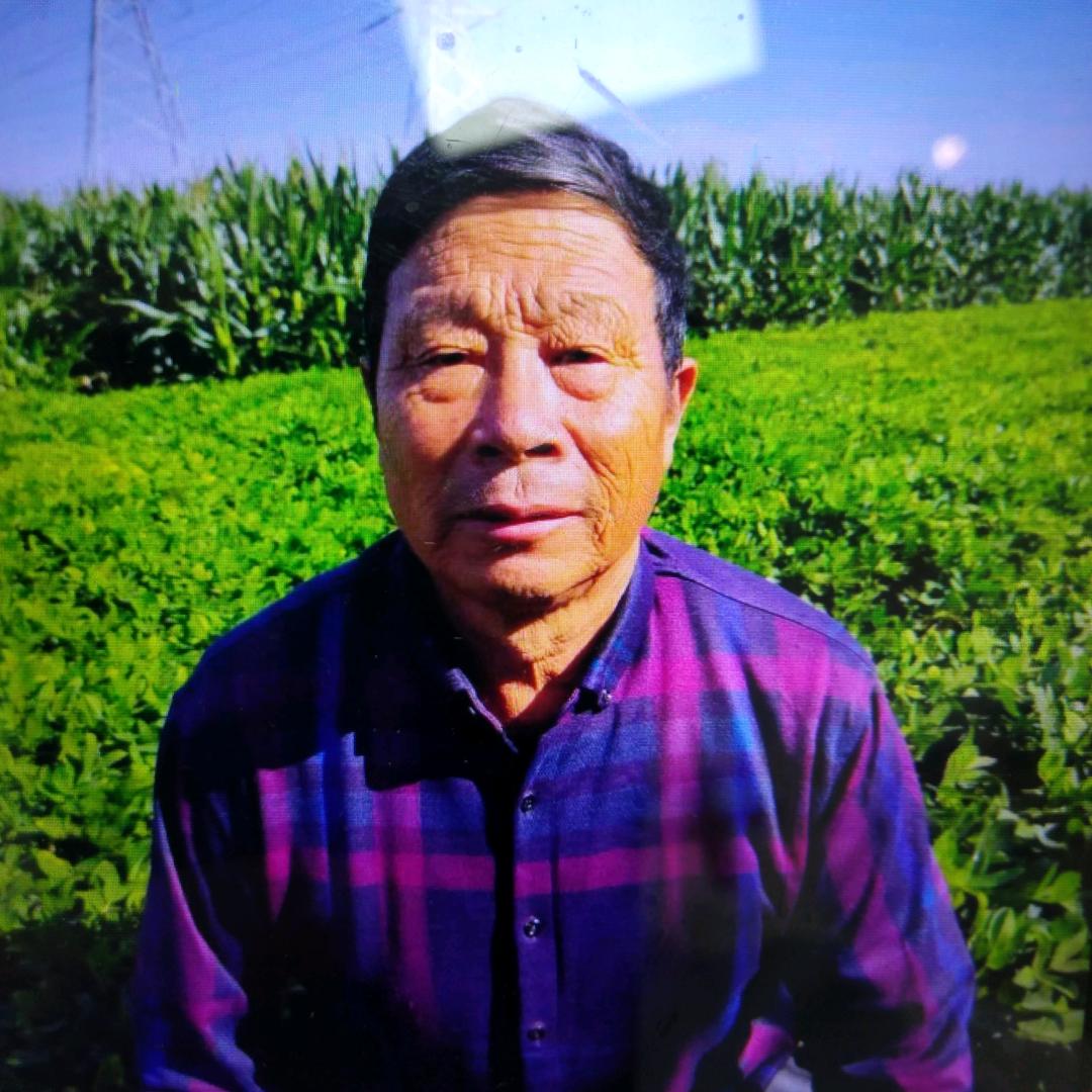 季哥(早上8点10分云台走路首播，