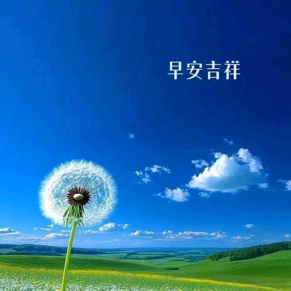 飞鹰🇨🇳守护🇨🇳相约922