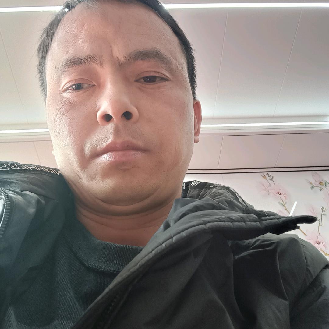 专业回收大猪，小猪，母猪。