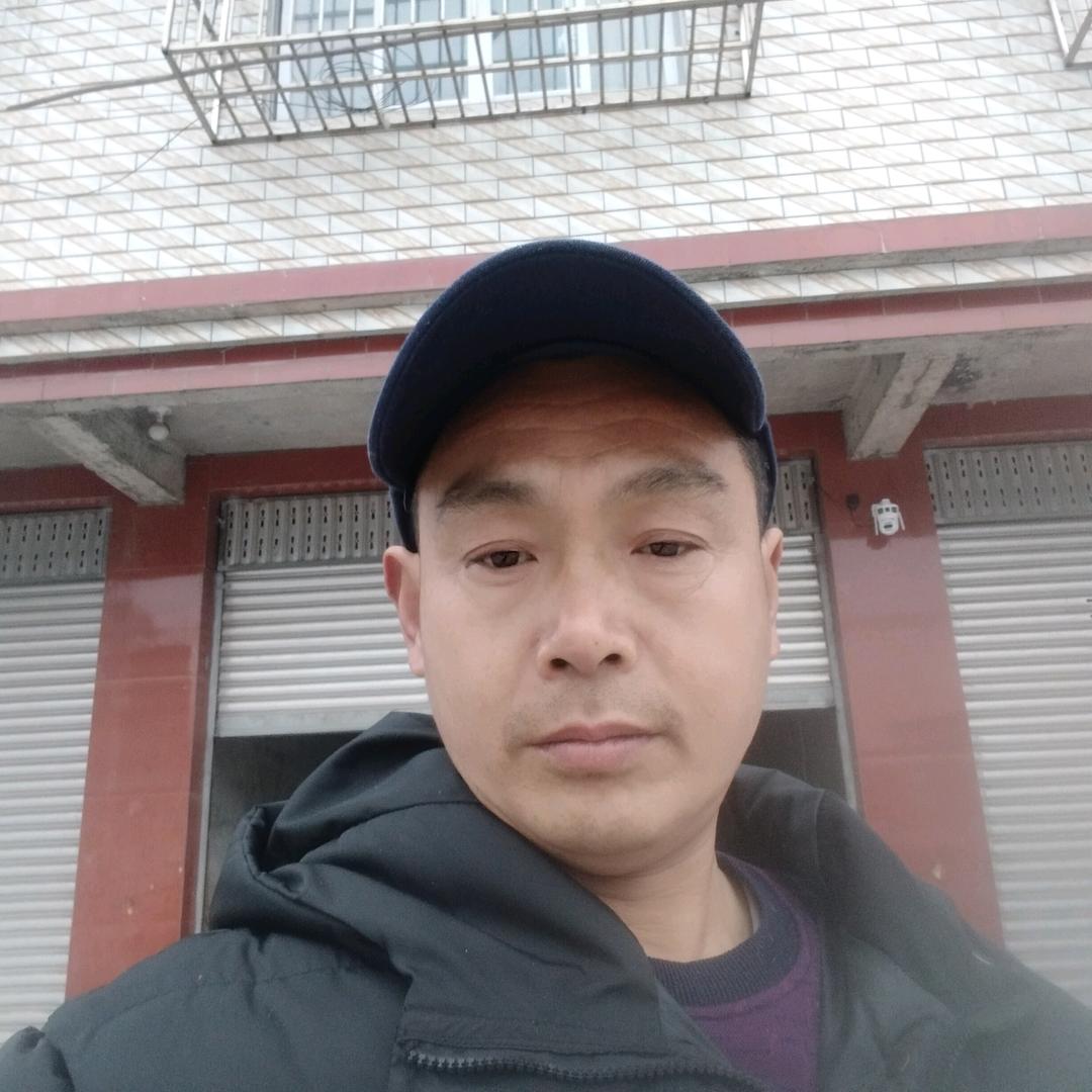罗老师