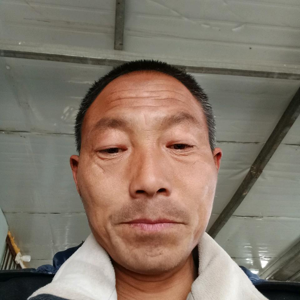草店马喜旺