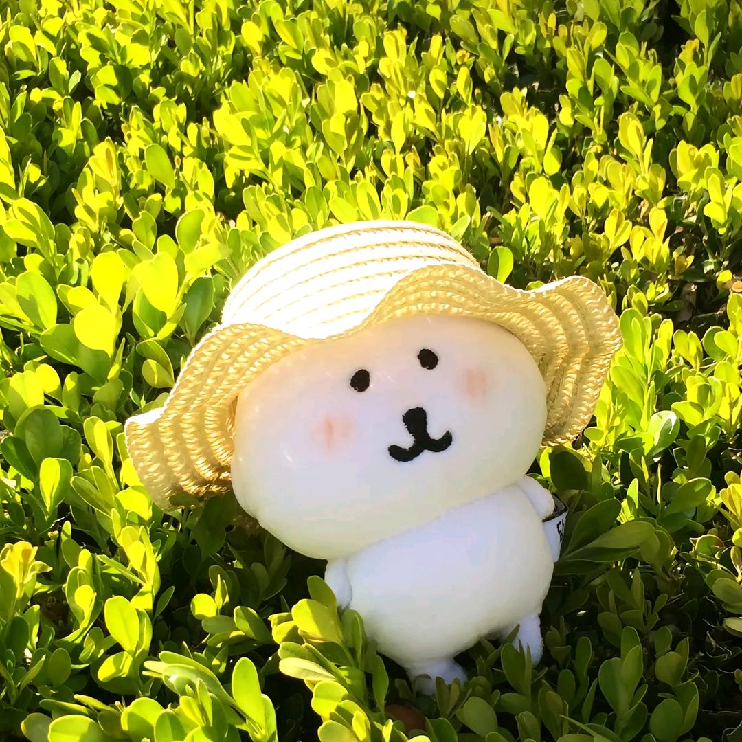 恶心男频后宫文头像