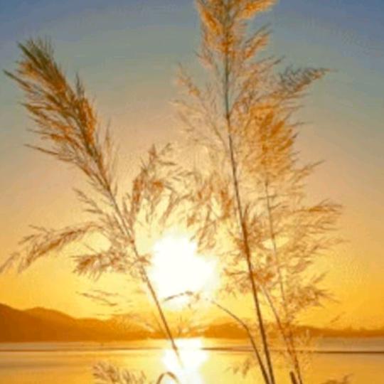 (◕︿◕✿)时光