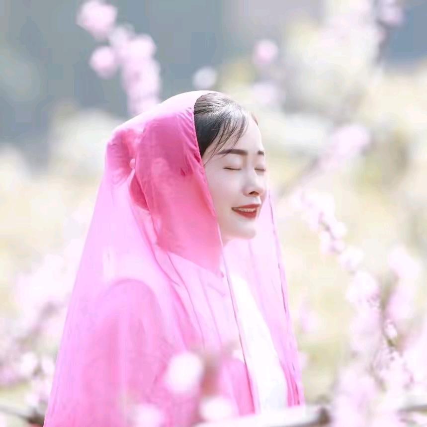 清风明月
