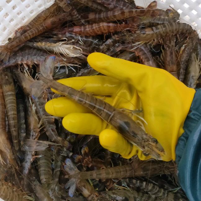 往事随风，爱恨随意。