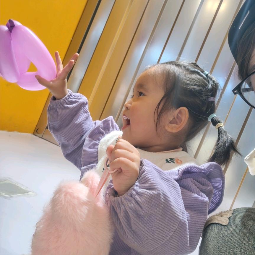 贾大梦