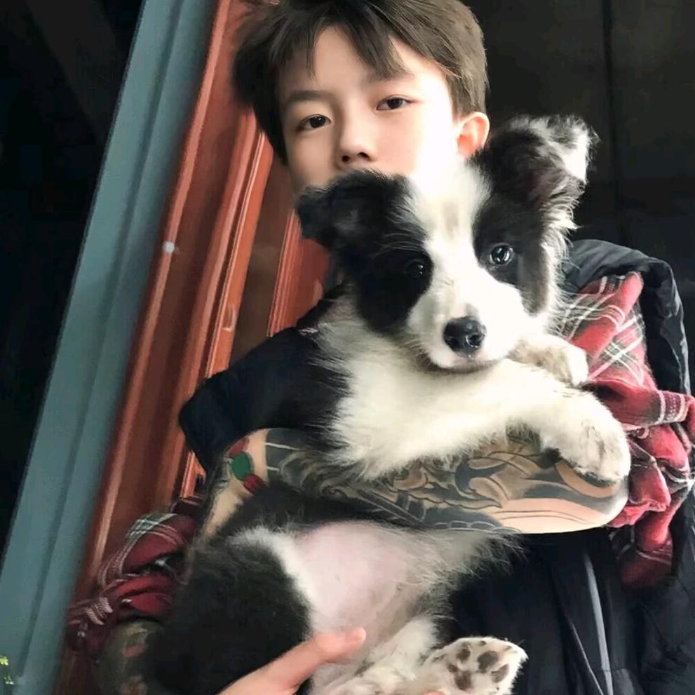 泰豪八两学长（咨询秒回🤝）