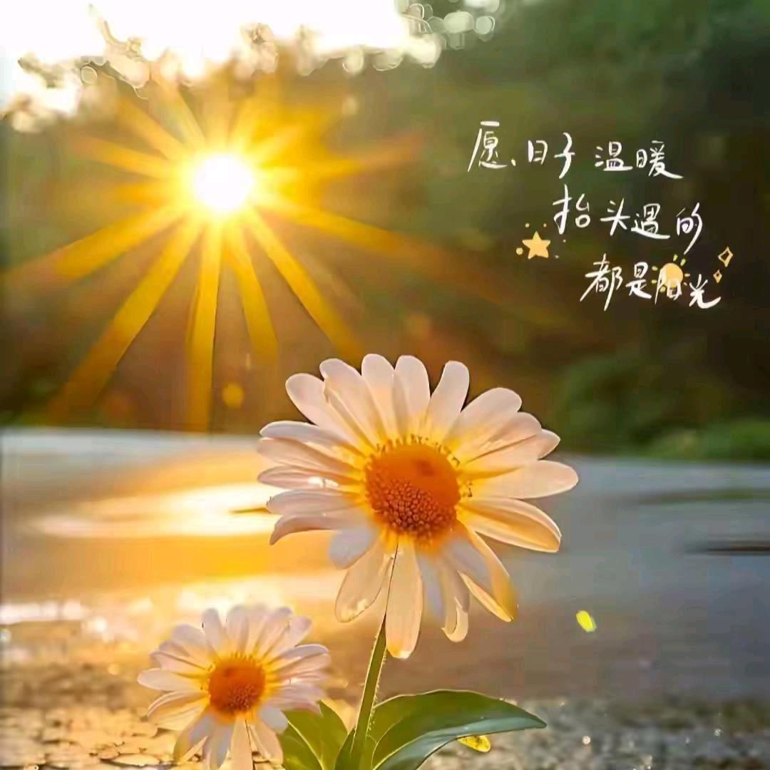 烟花易冷~浮生若梦