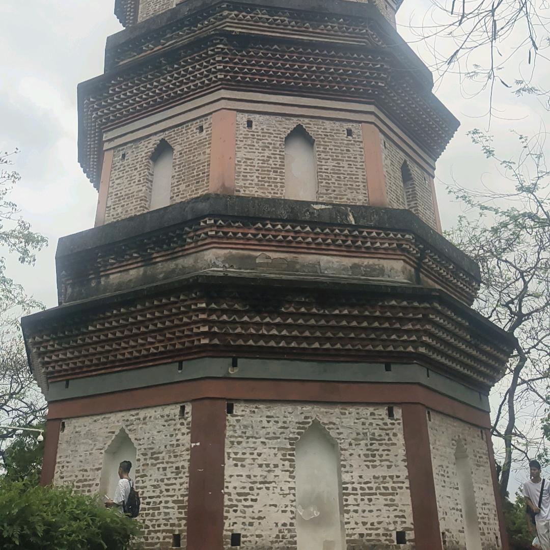 一花一世界(╯з╰)