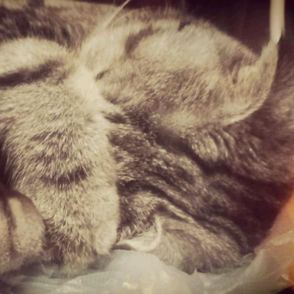 浮生一梦Thanks♪(･ω･)ﾉ