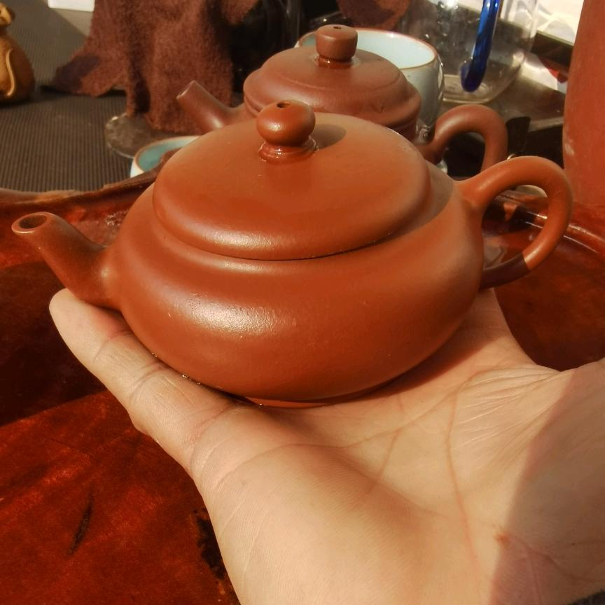 向阳赛鸽俱乐部