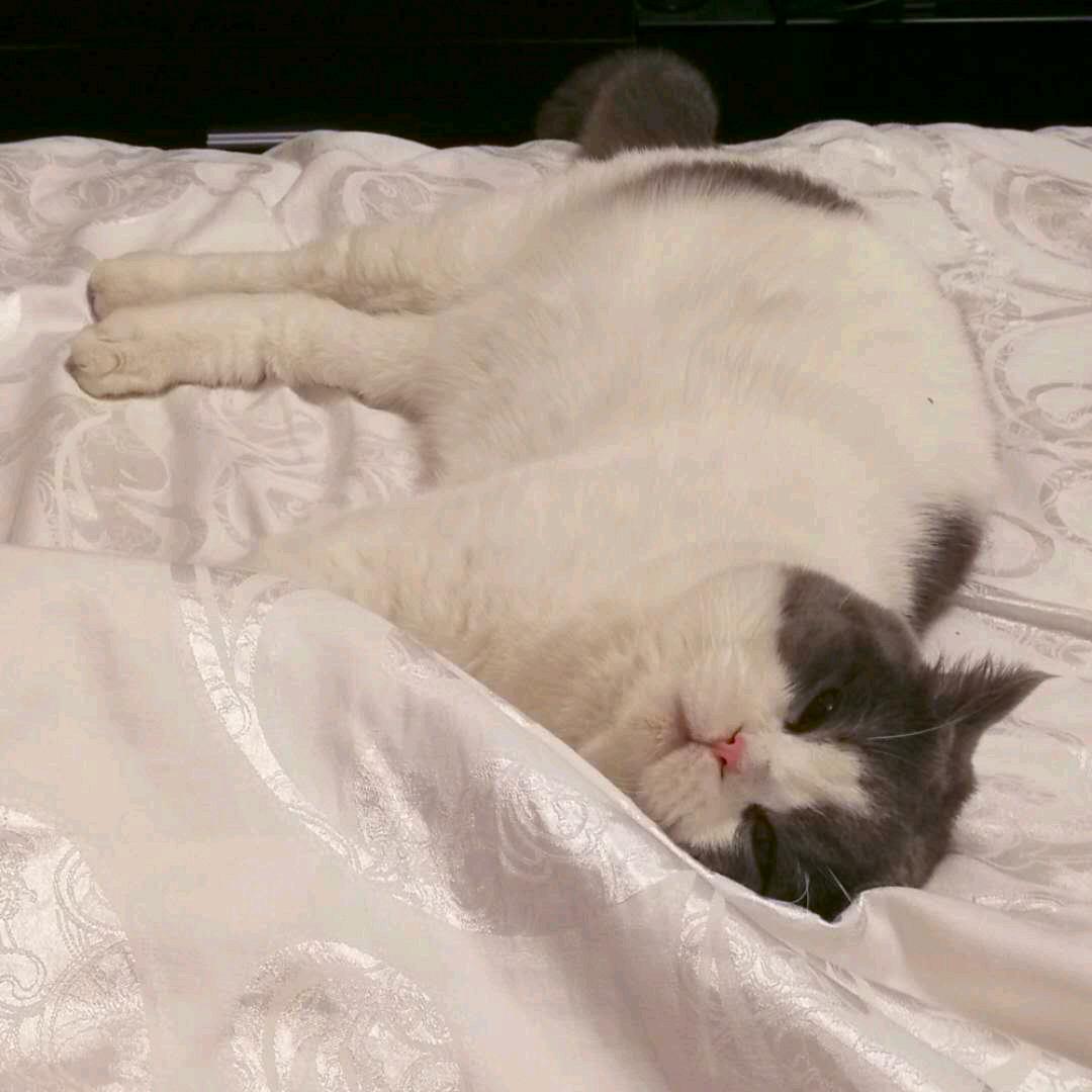 ‍‍‍‍‍‍‍‍‍‍‍‍‍‍‍‍‍‍CT