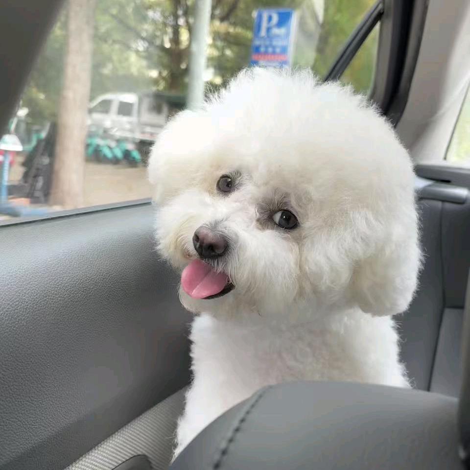 💗᭄亿訫ᝰᩚ求财💞