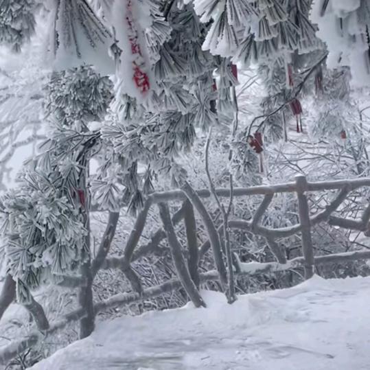 地摊🎅大叔