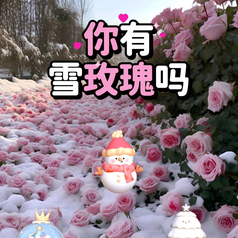 🥖🌭🌮🥪🥯🥮🥪