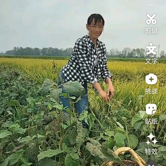 农村雁子🎤首播第一天