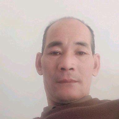 大笨猪头像