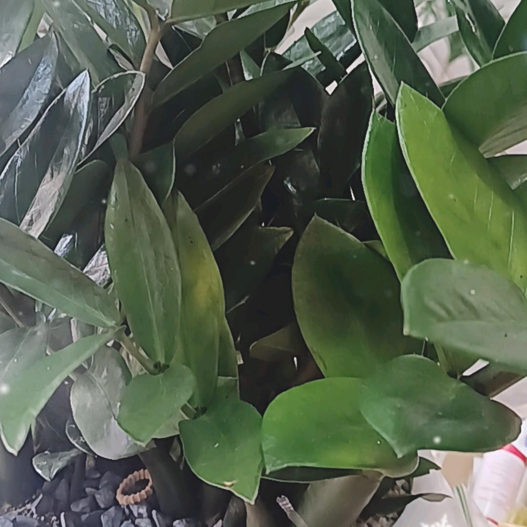 往后余生
