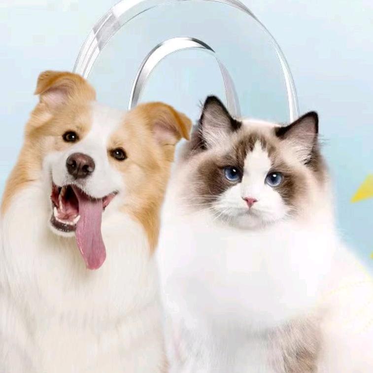 万宠贝泽宠物用品工厂店