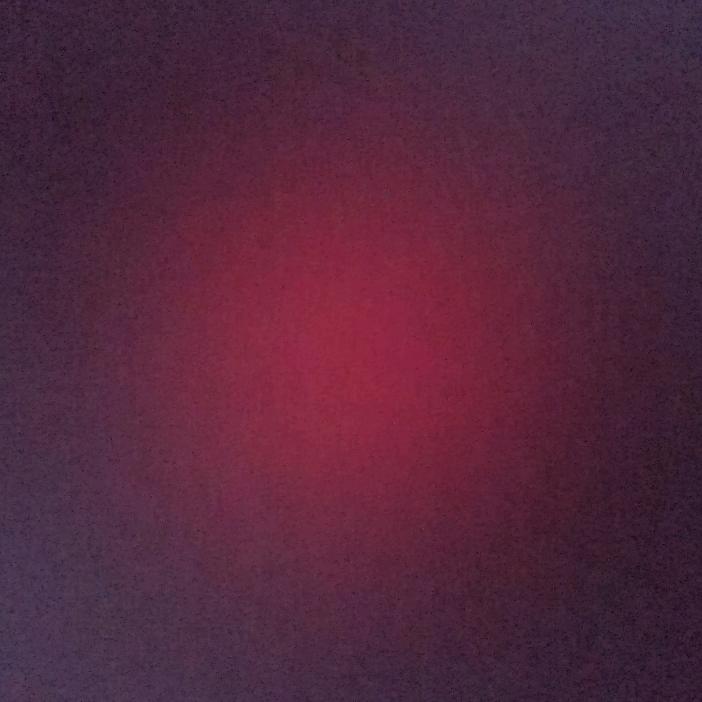 飞飞子