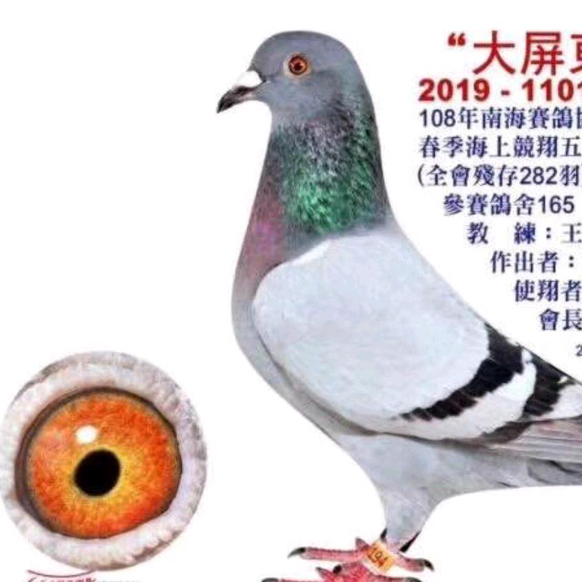 没有风雨哪有彩虹