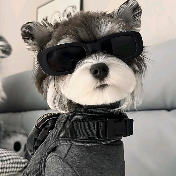 沐兮