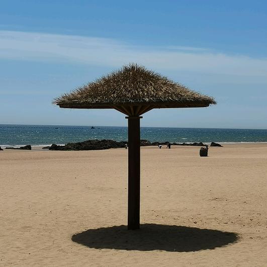 ²⁰²⁵ღ᭄感恩有你✾͡ღ᭄