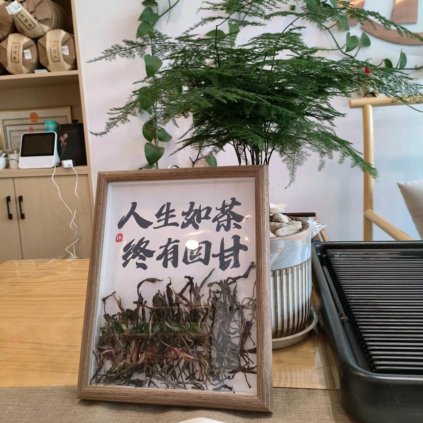 凤庆滇红茶8號