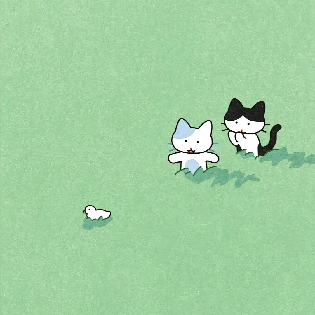 圆圆财来，j