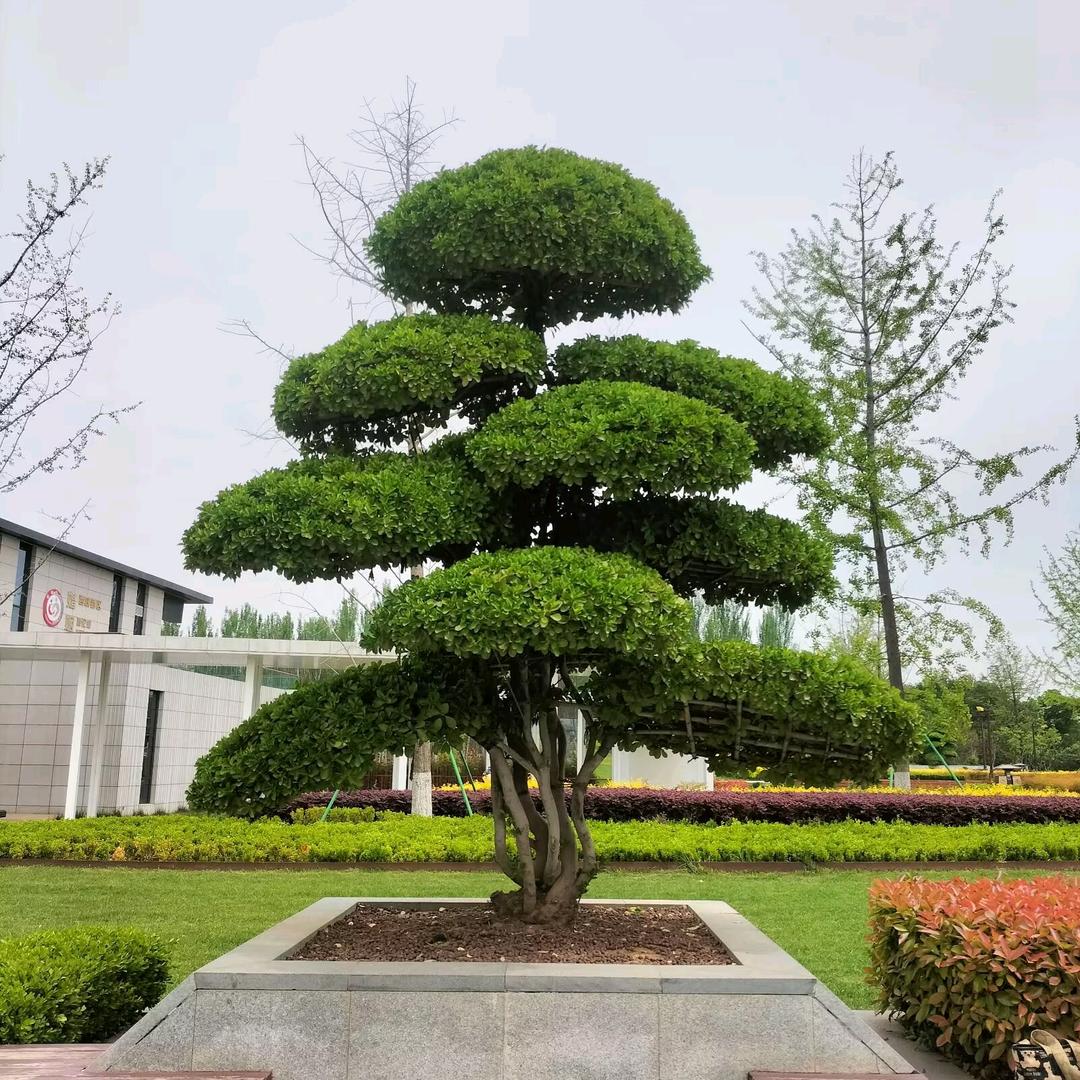 💖ღ余生᭄爱ღ自己᭄ꦿ꯭💖