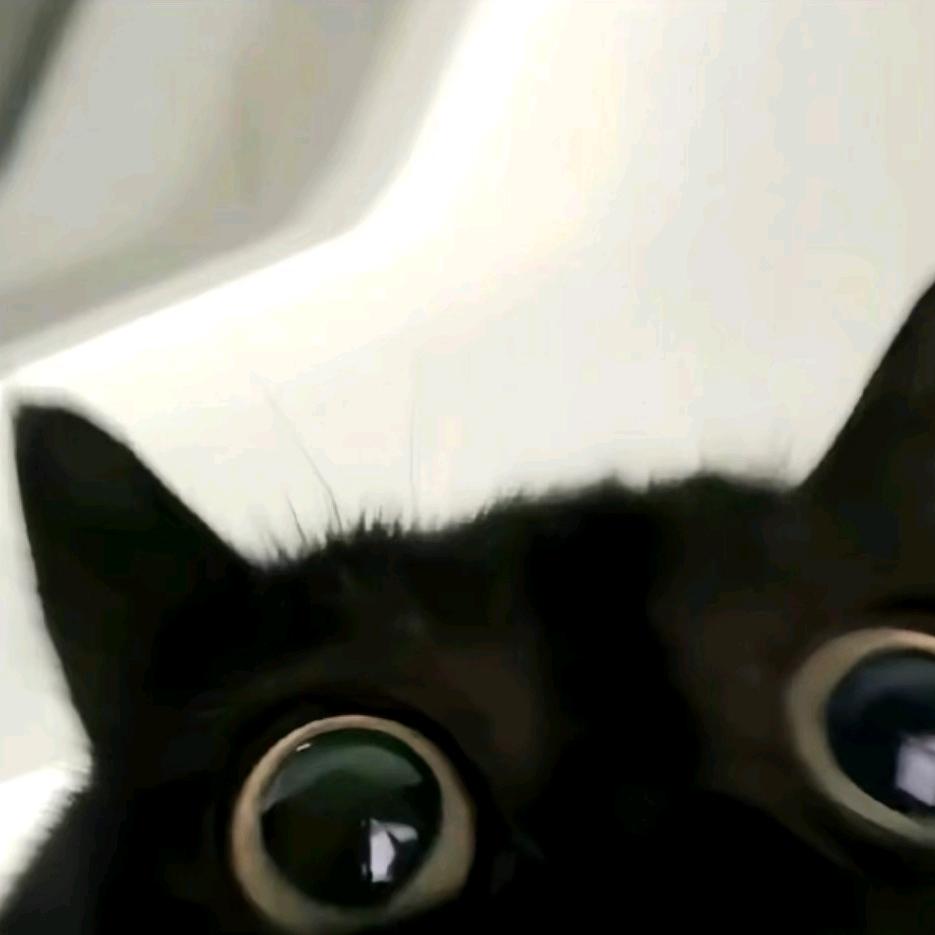 大鑫鑫。😘