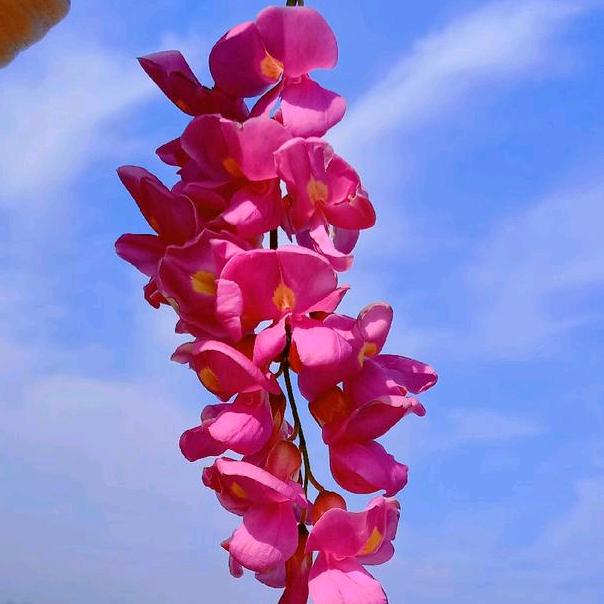 小样儿   Lෆiiೄ೨