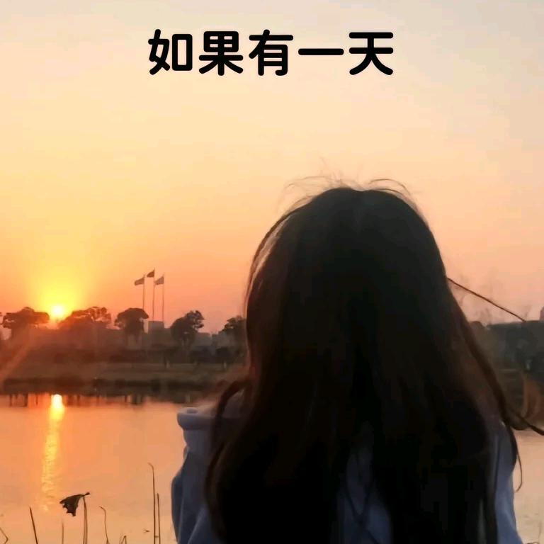 🥀琴有👩‍❤️‍👨独香