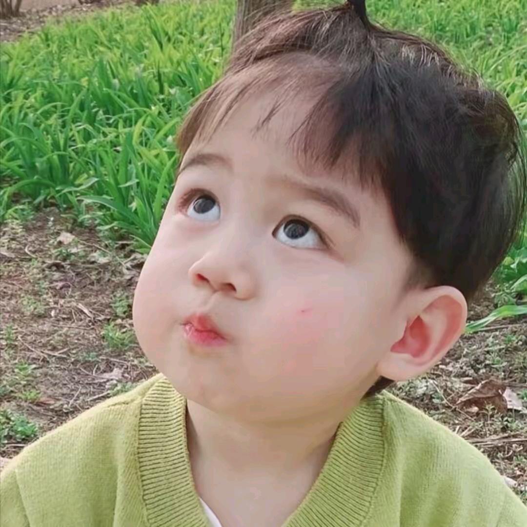 🍃憨憨🍃