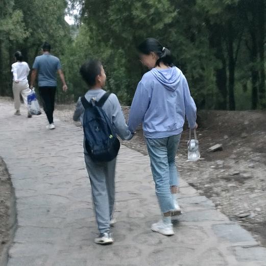 溱叶牡丹