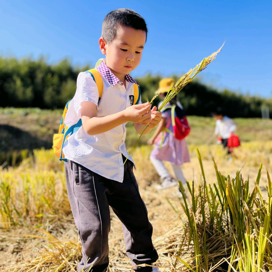 夏裳