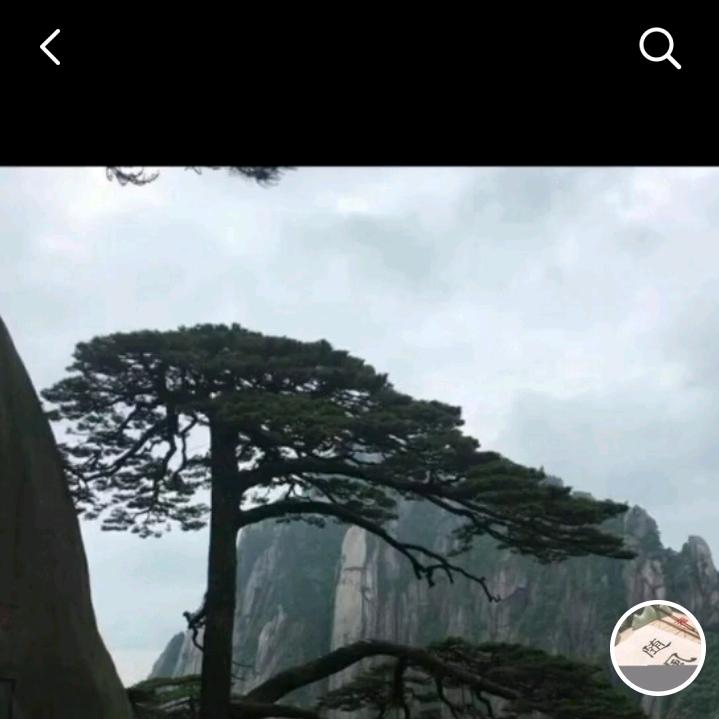 沉稳有道